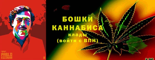 шишки Аркадак
