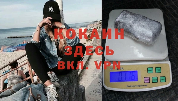 шишки Аркадак