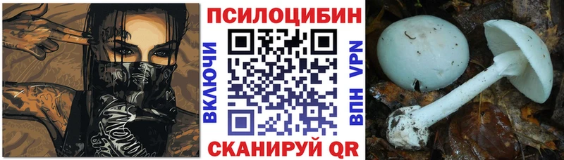 Галлюциногенные грибы Cubensis Красный Кут