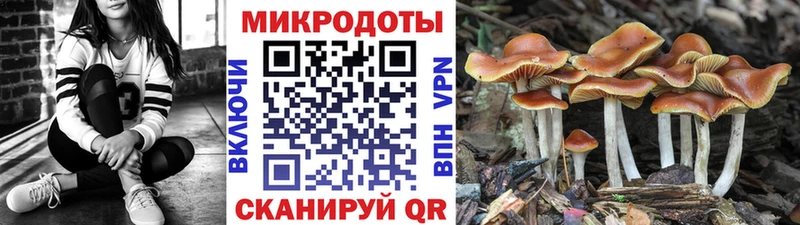 Галлюциногенные грибы GOLDEN TEACHER  купить наркотик  Красный Кут 